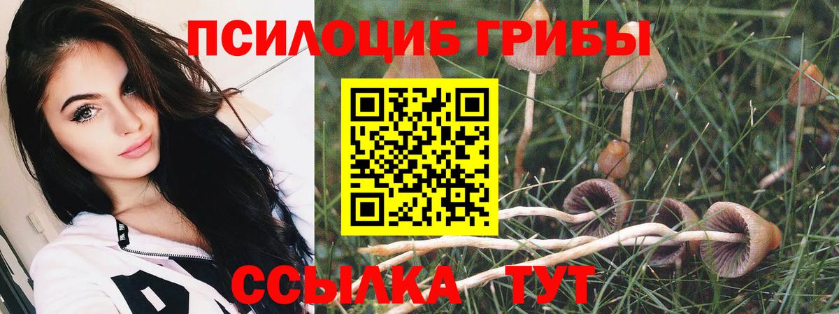 Галлюциногенные грибы Psilocybe  Вход с VPN  Нижнекамск 